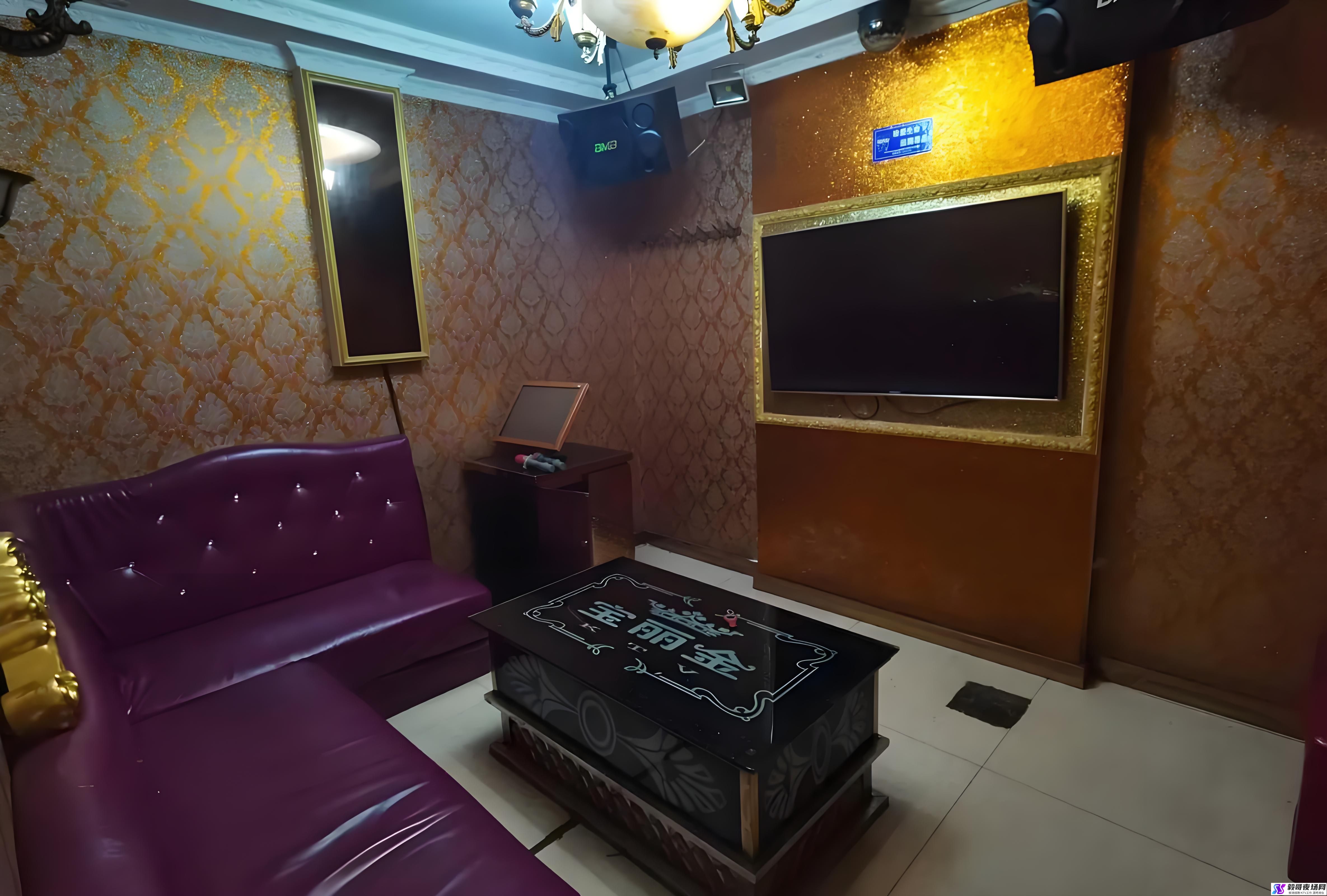 南京小费3000夜总会招聘：高薪职位详情一览